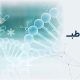 اوزون چیست